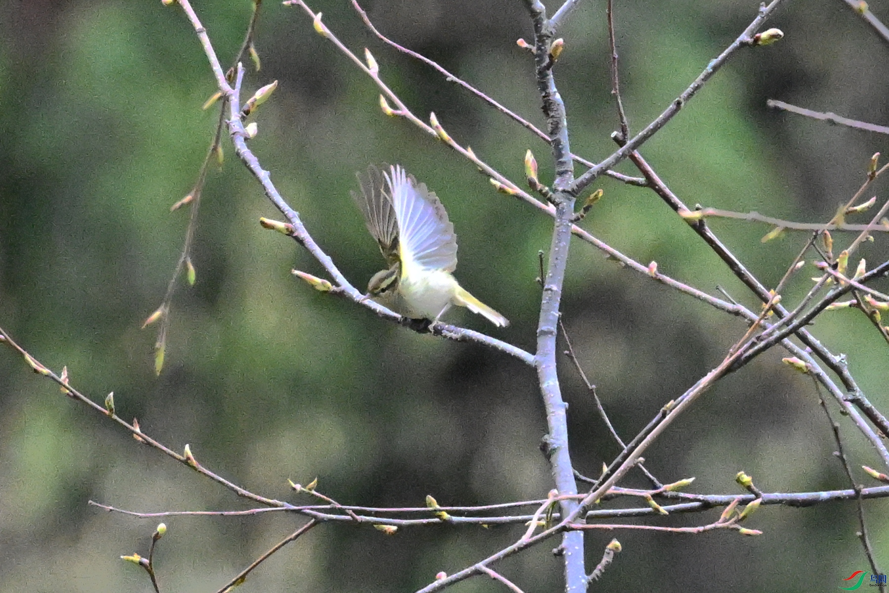 DSC_1803.JPG