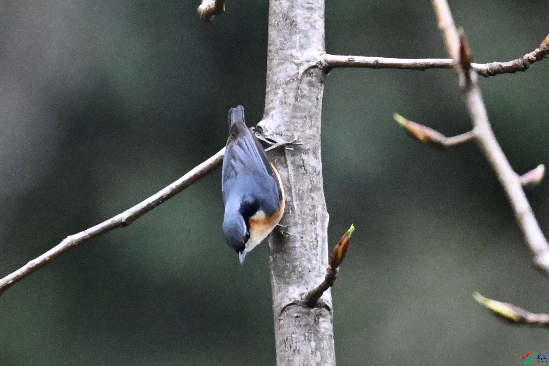 DSC_1839.JPG