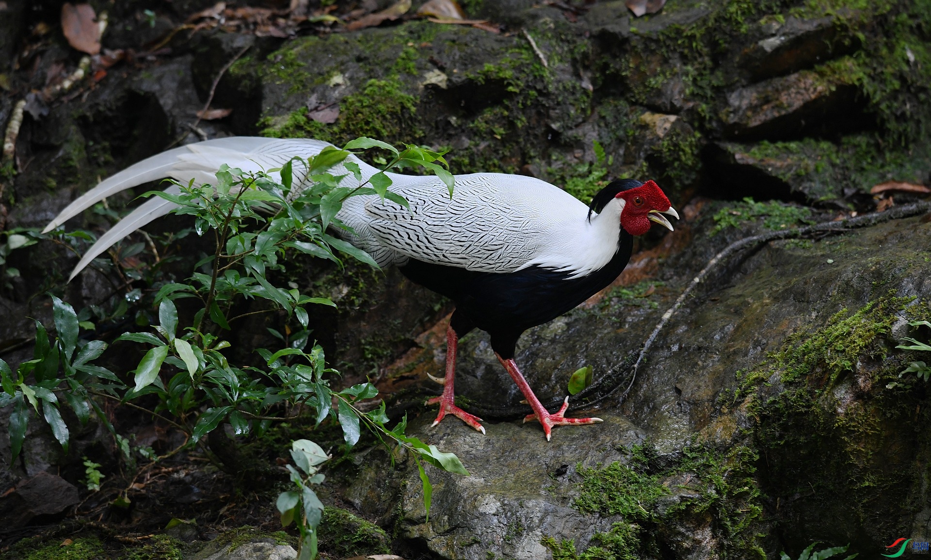 DSC_1362.jpg