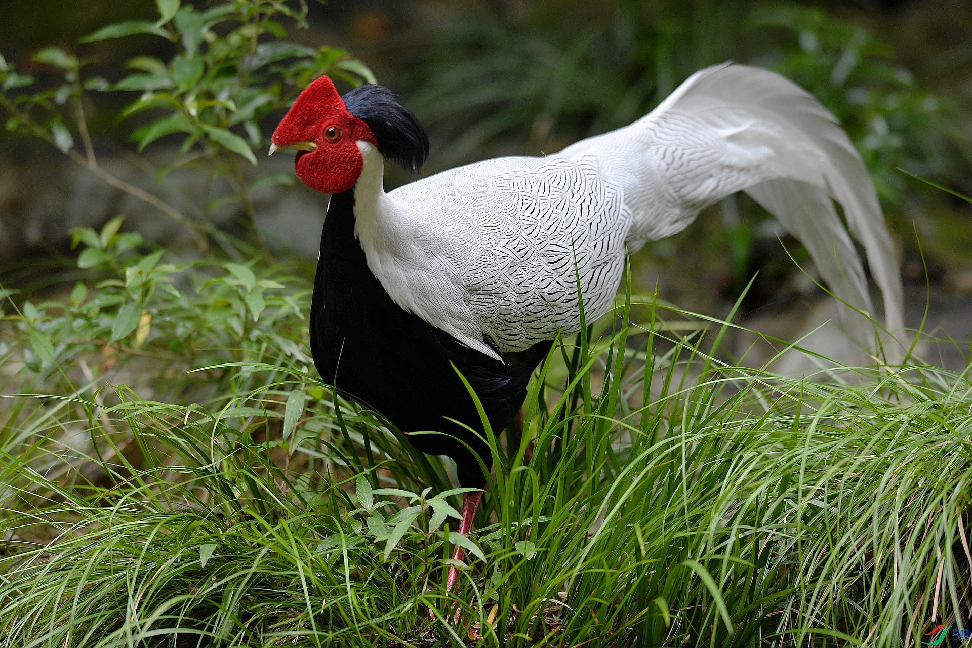 DSC_6472.jpg