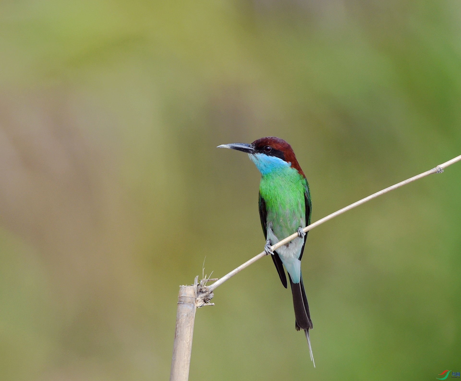 DSC_6853.jpg