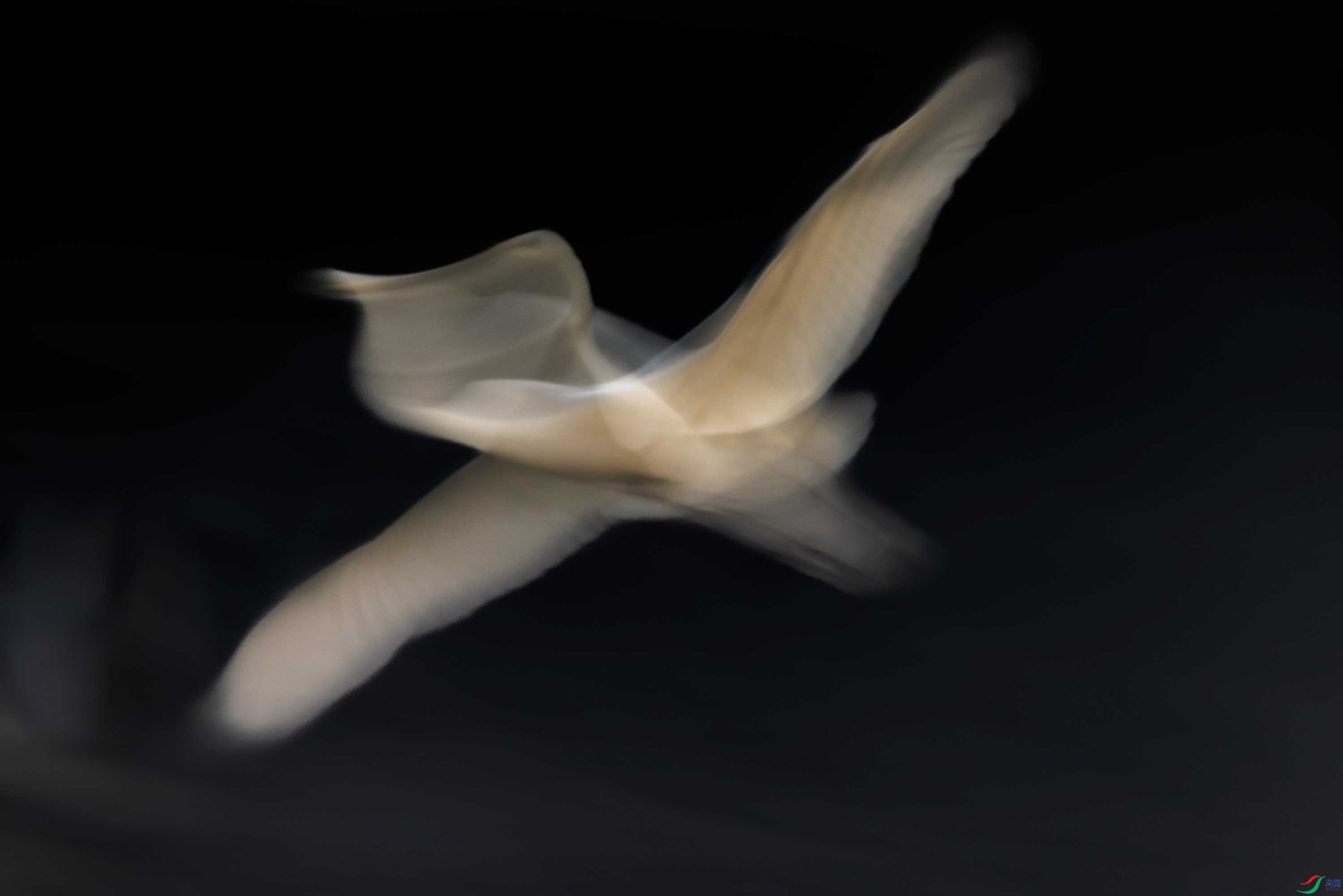 278A0416.jpg