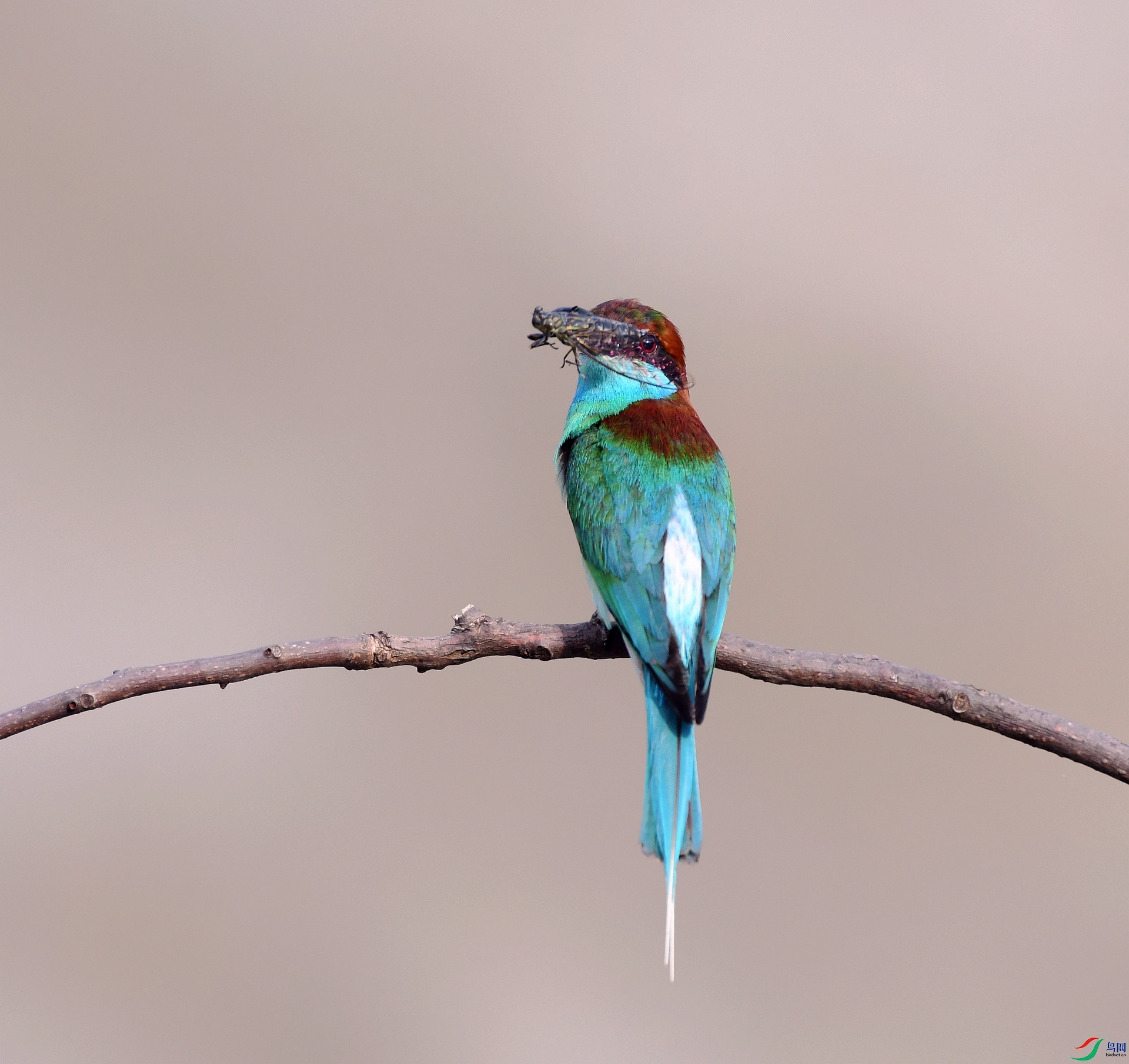 DSC_8115.jpg