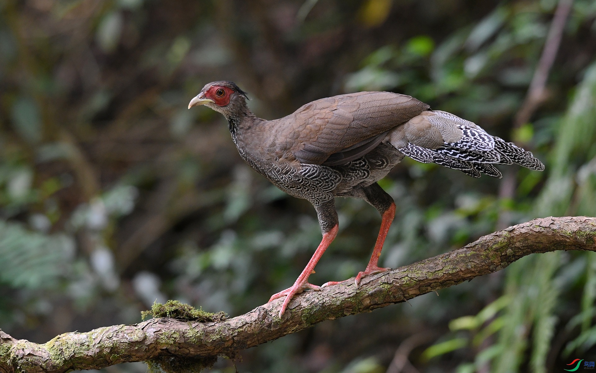 DSC_6420.jpg