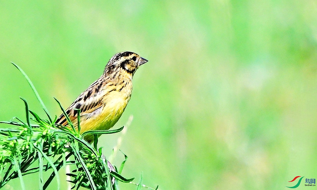 DSC_5727.JPG