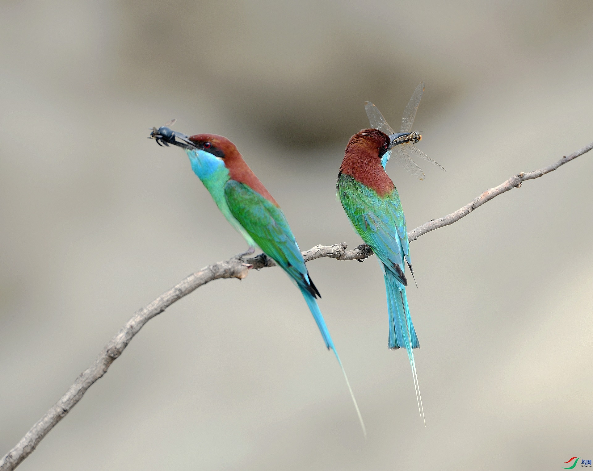 DSC_5523.jpg