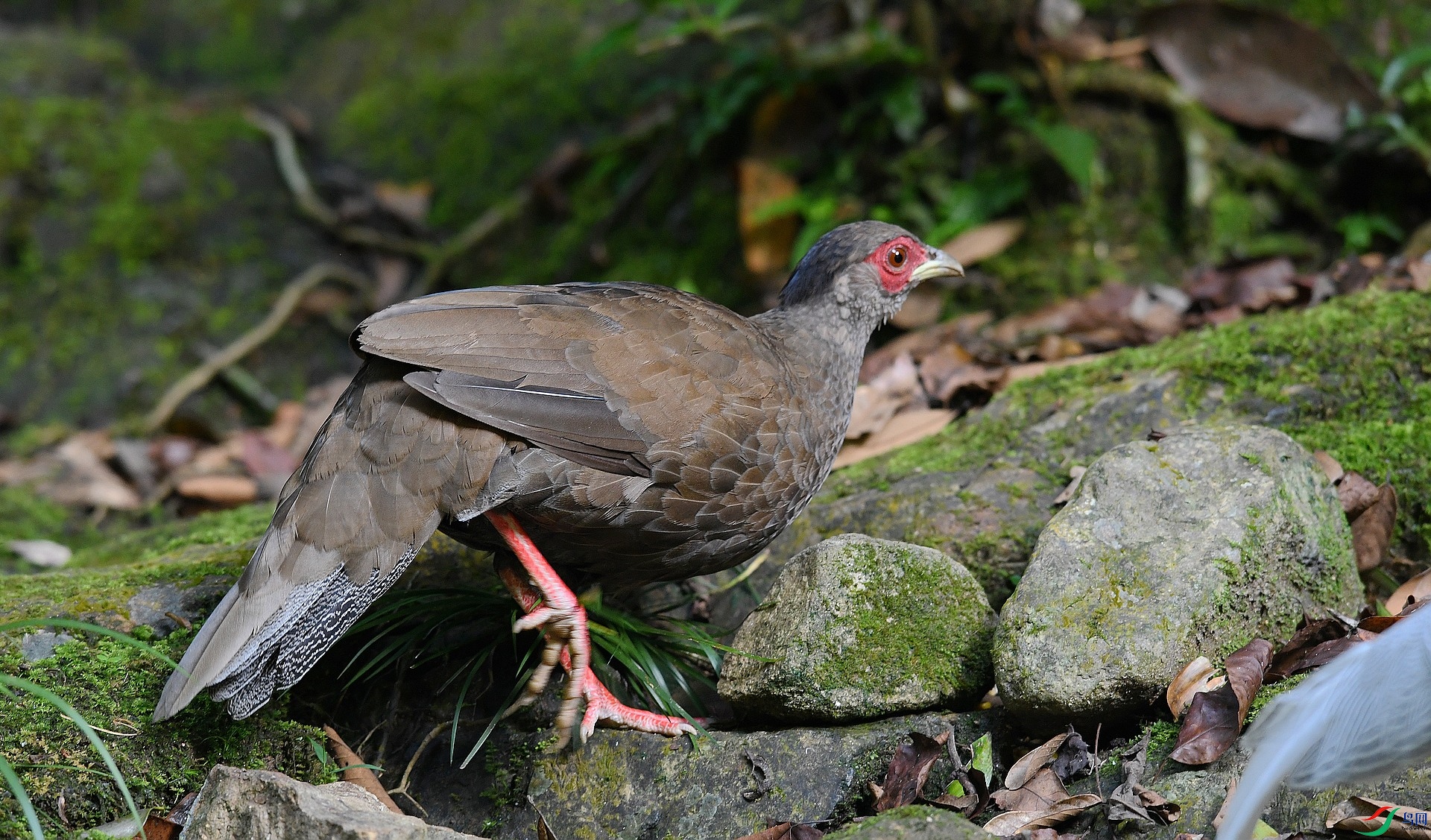 DSC_6783.jpg