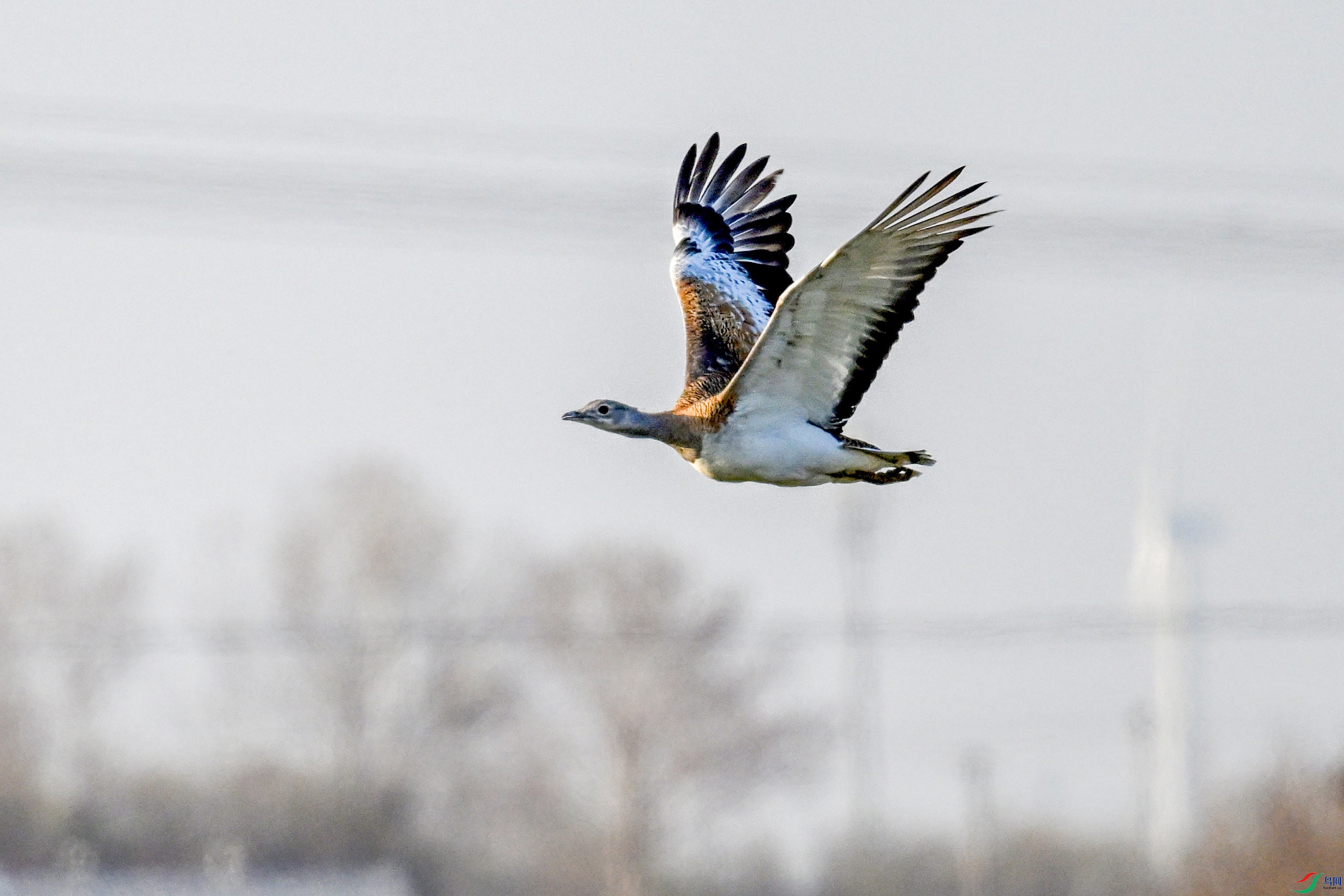 DSC_0527.JPG