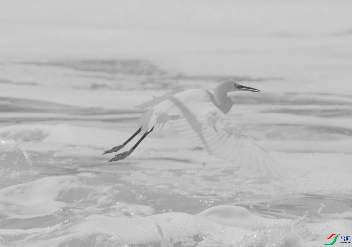 _DSC8288-xcvb_������С.jpg