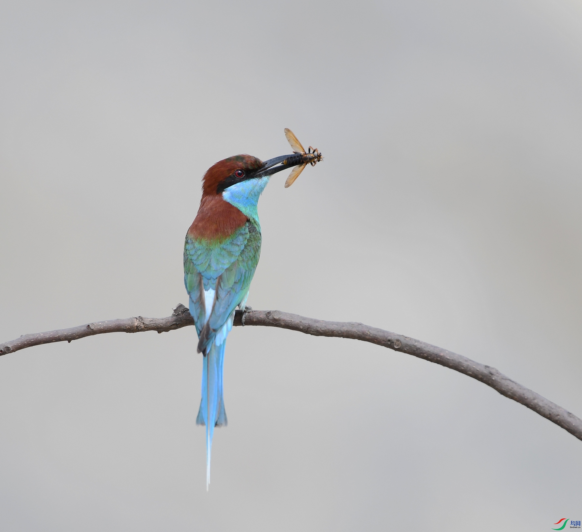 DSC_2860.jpg