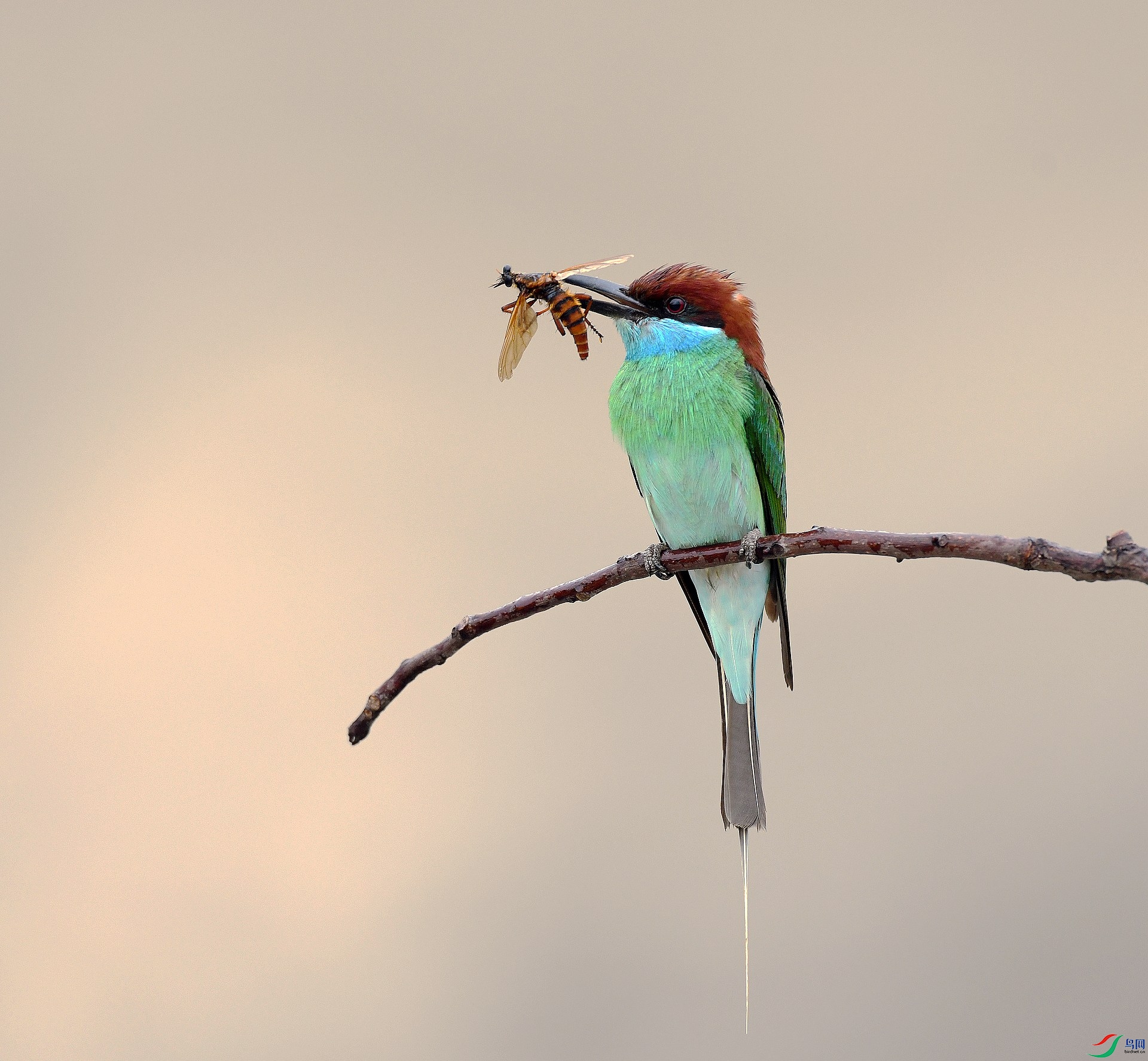 DSC_2282.jpg