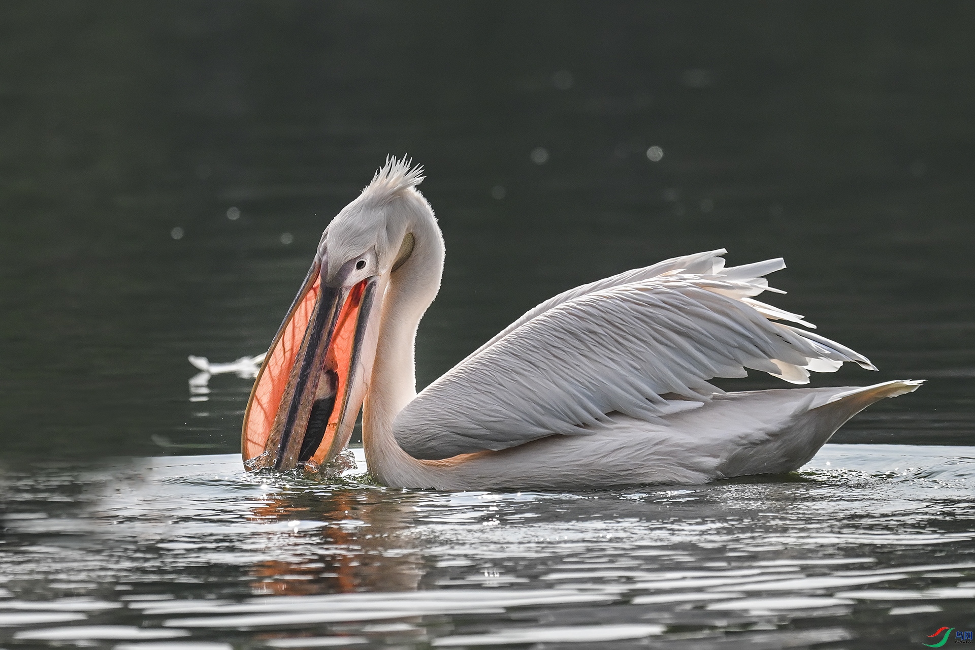 DSC_7569.jpg