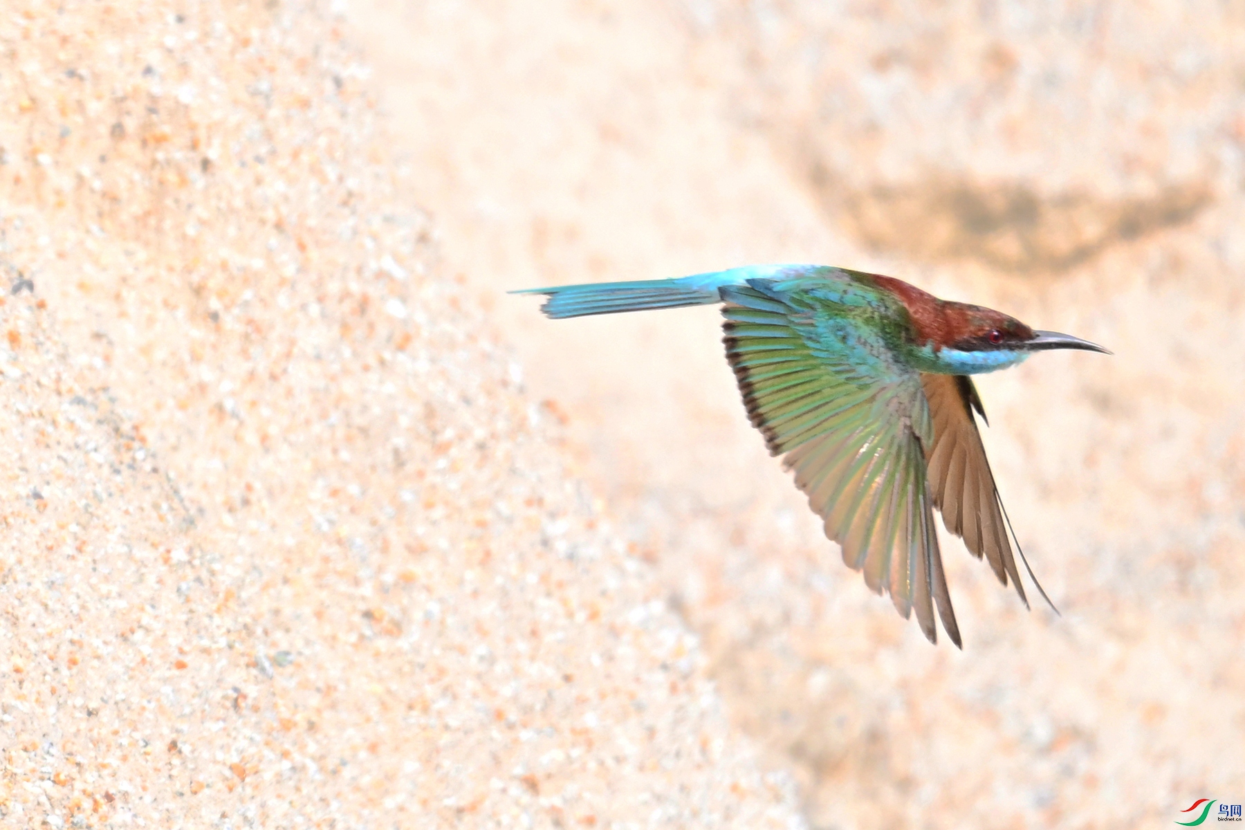DSC_2731.JPG