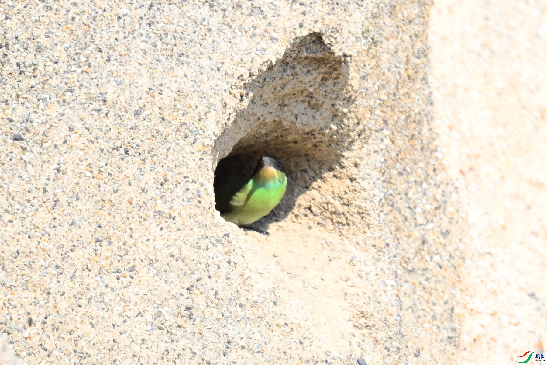 DSC_2720.JPG