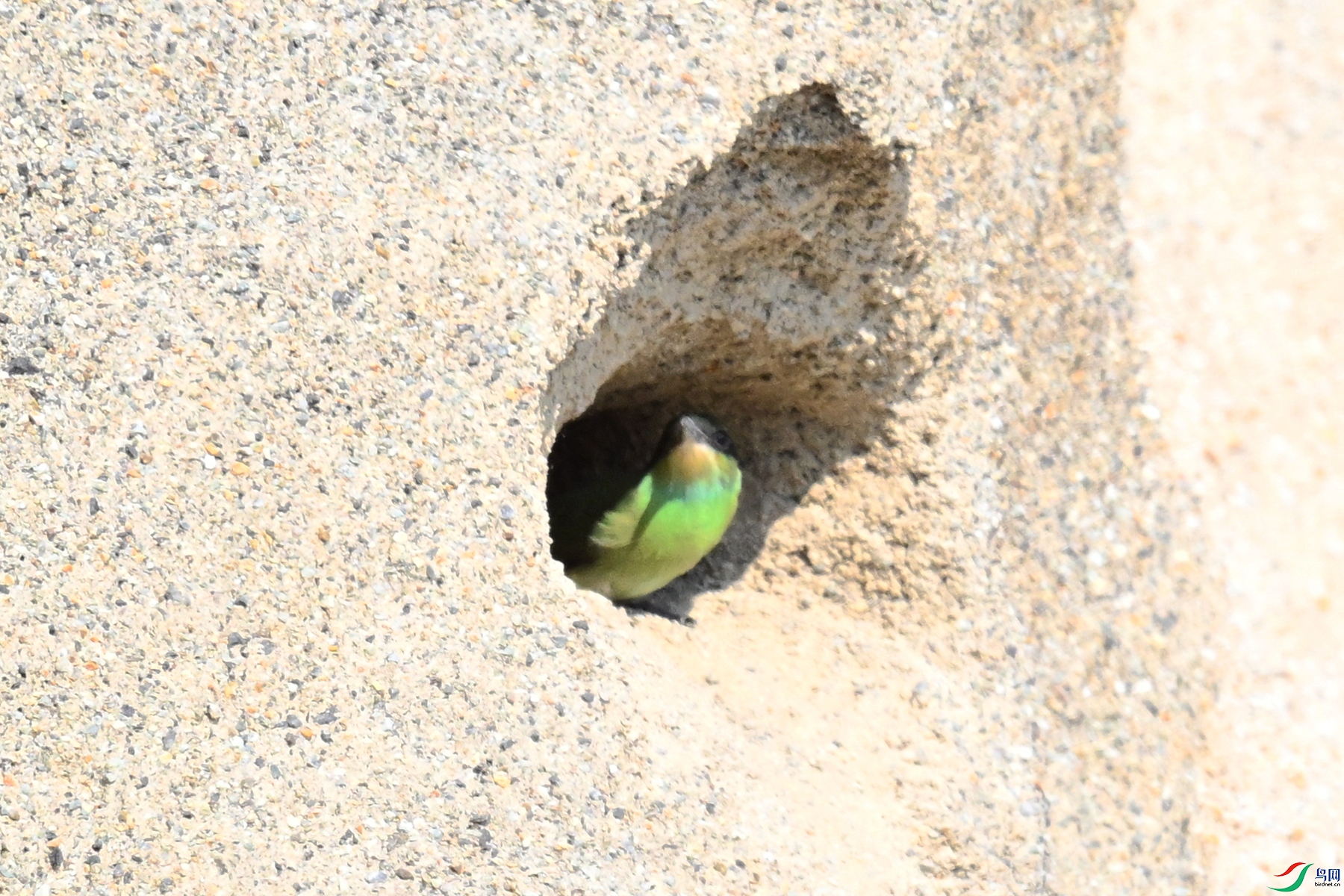 DSC_2722.JPG