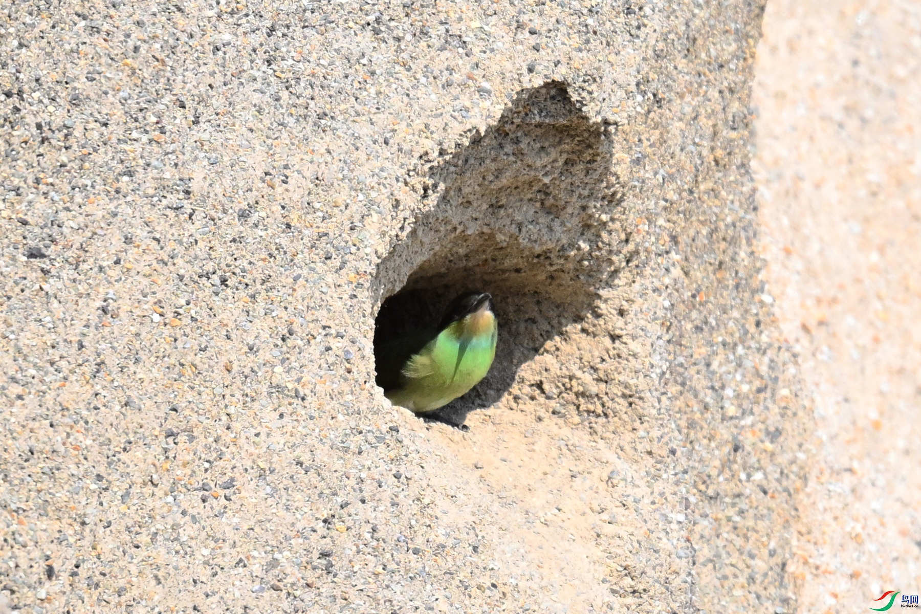 DSC_2723.JPG