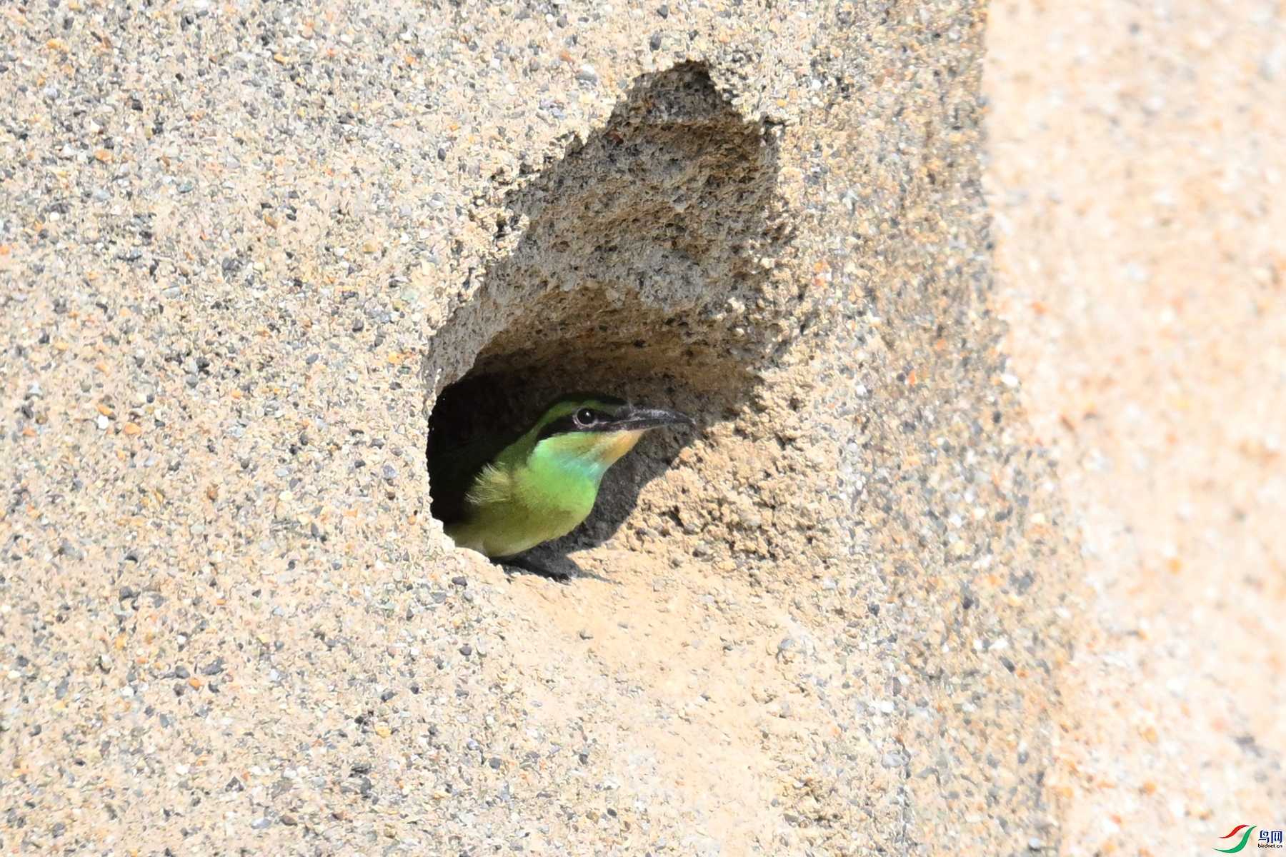 DSC_2705.JPG