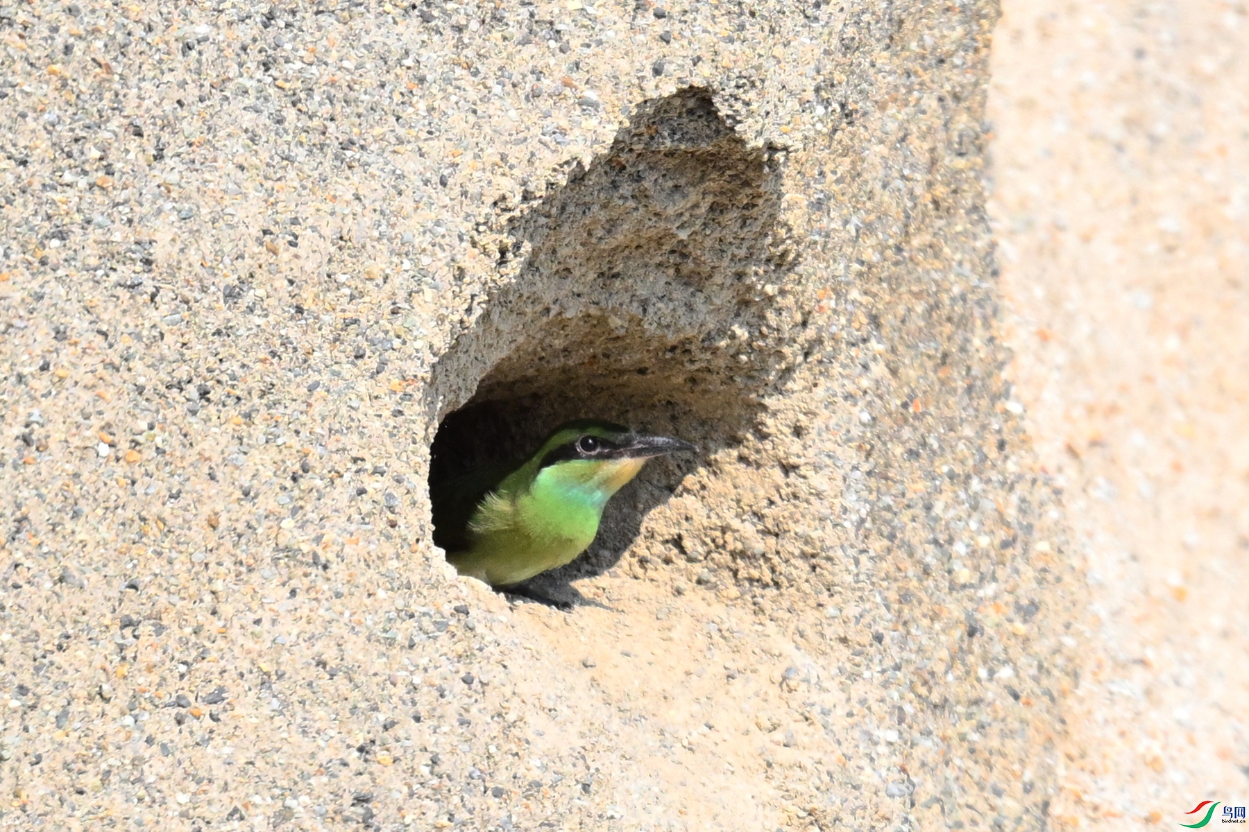 DSC_2706.JPG