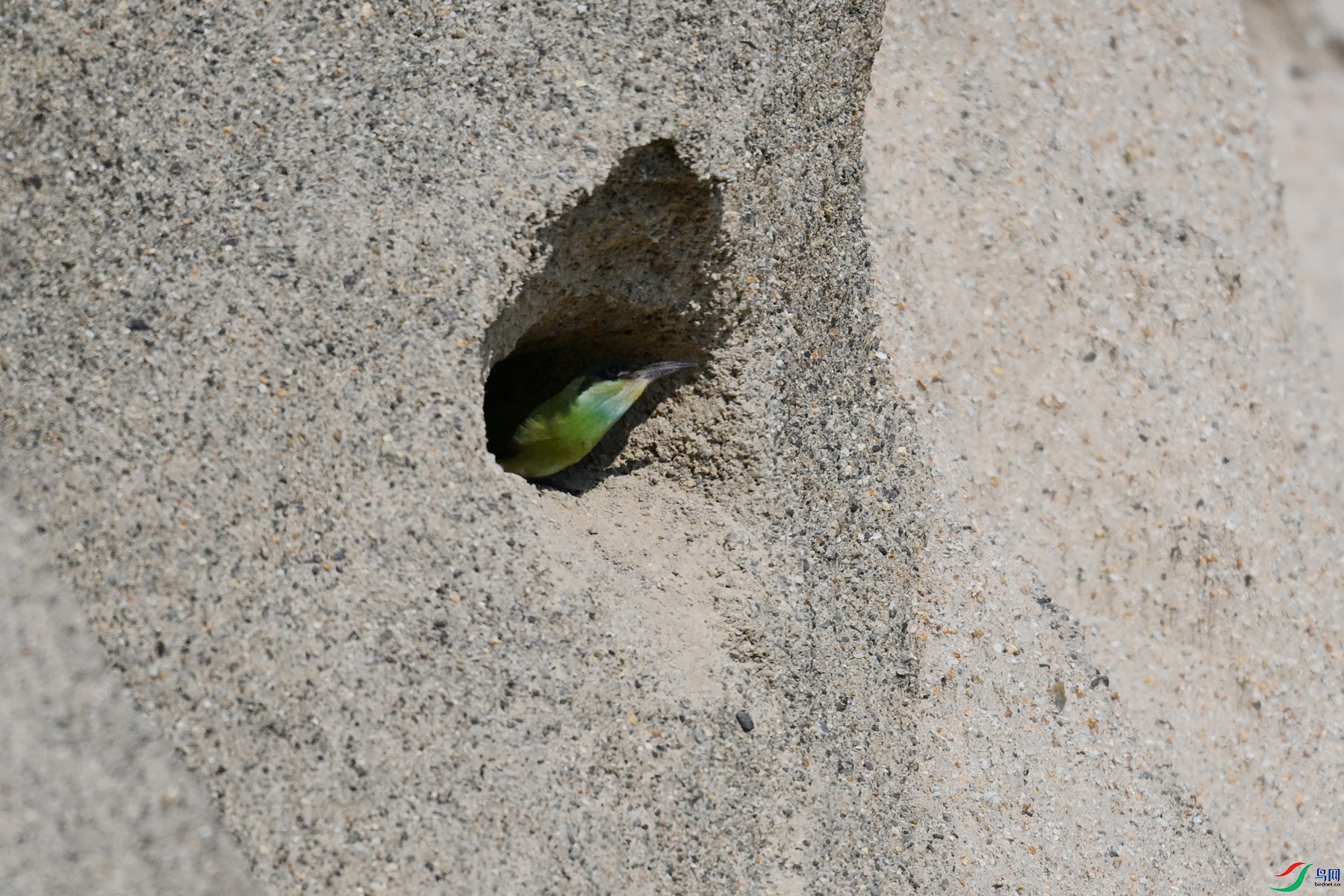 DSC_2711.JPG