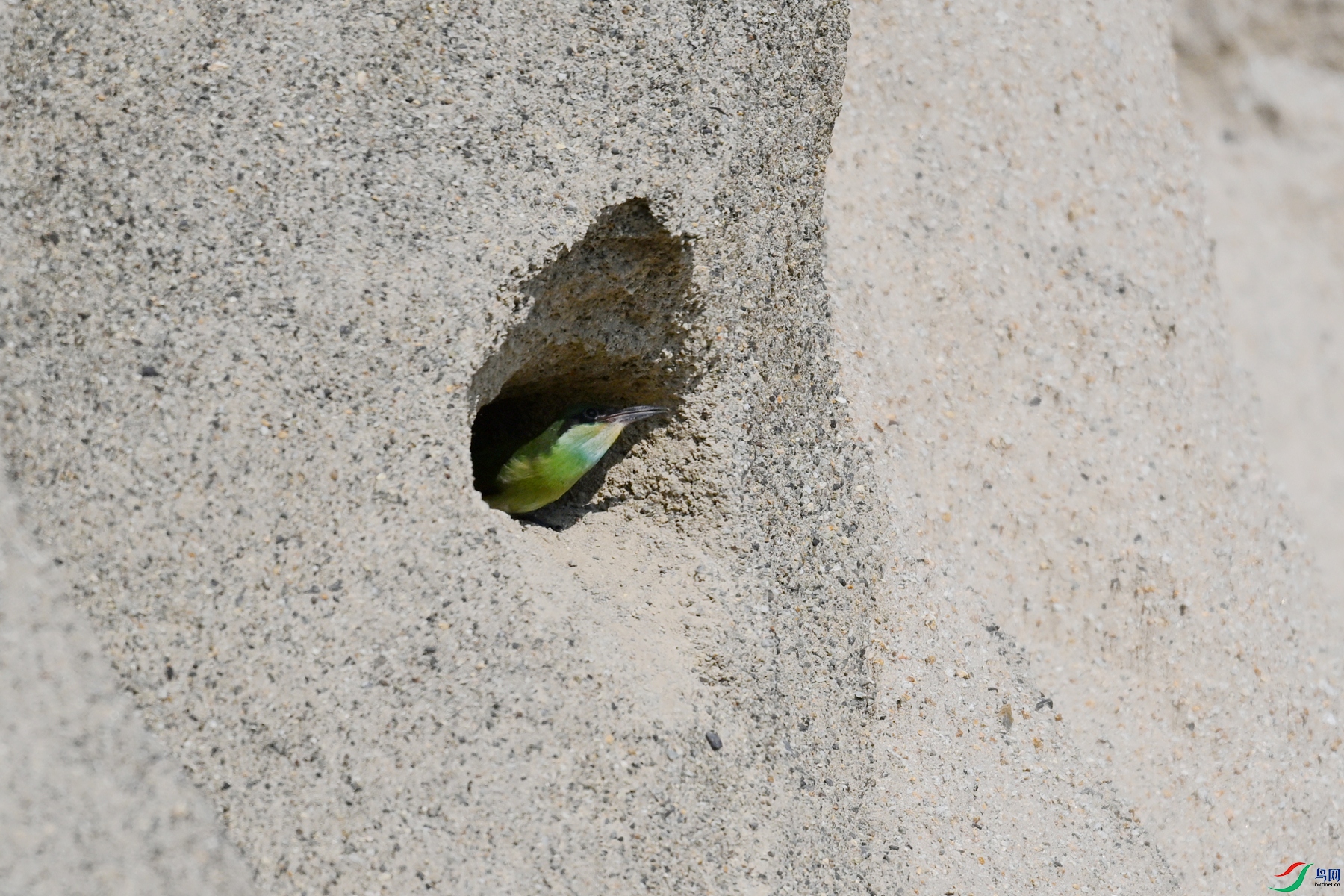 DSC_2713.JPG