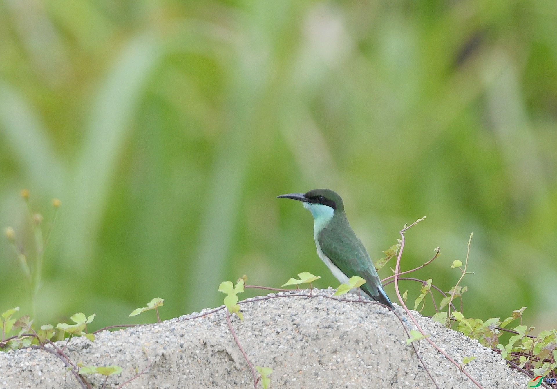 DSC_3183.jpg