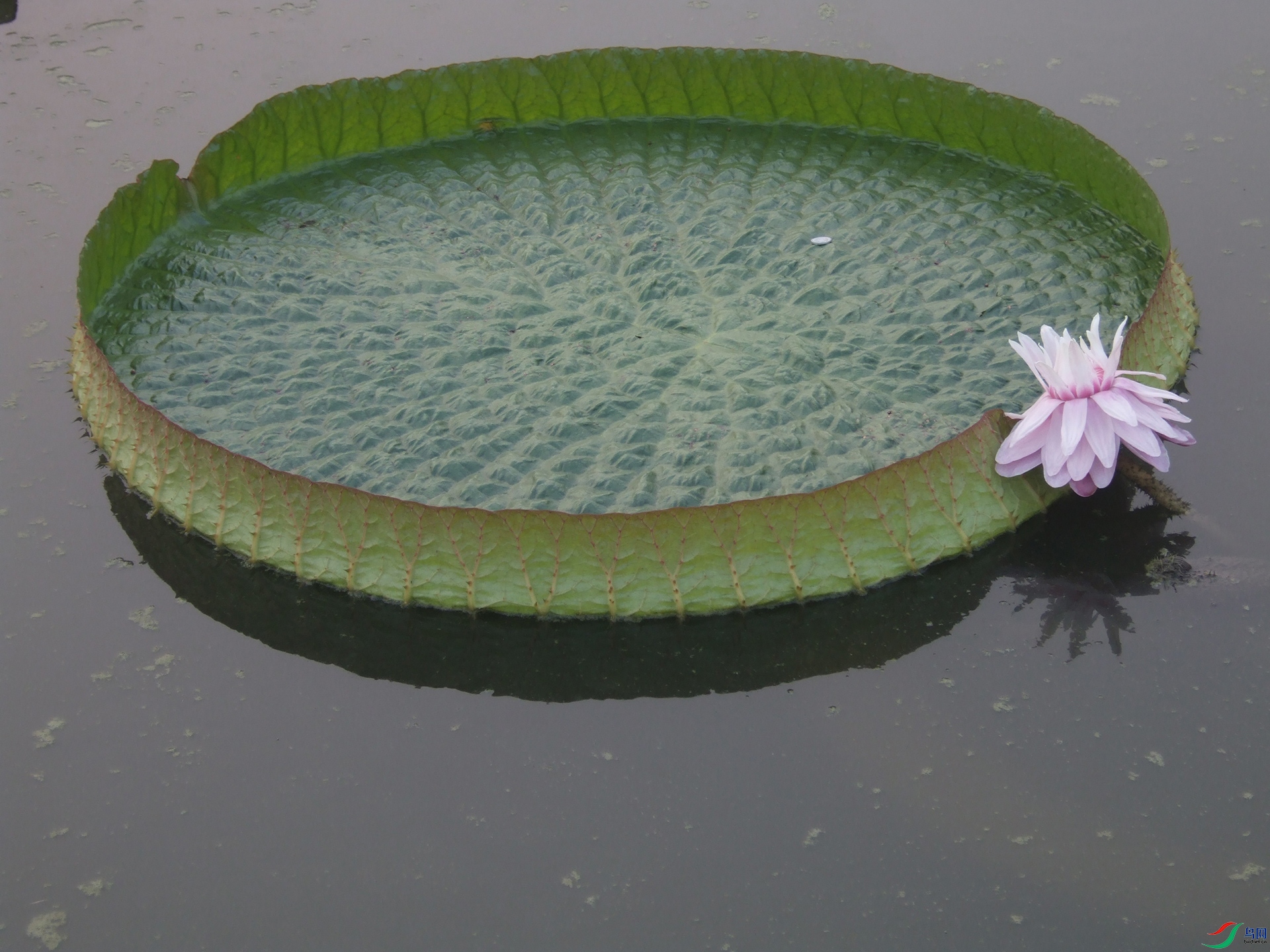 DSCF2232.jpg
