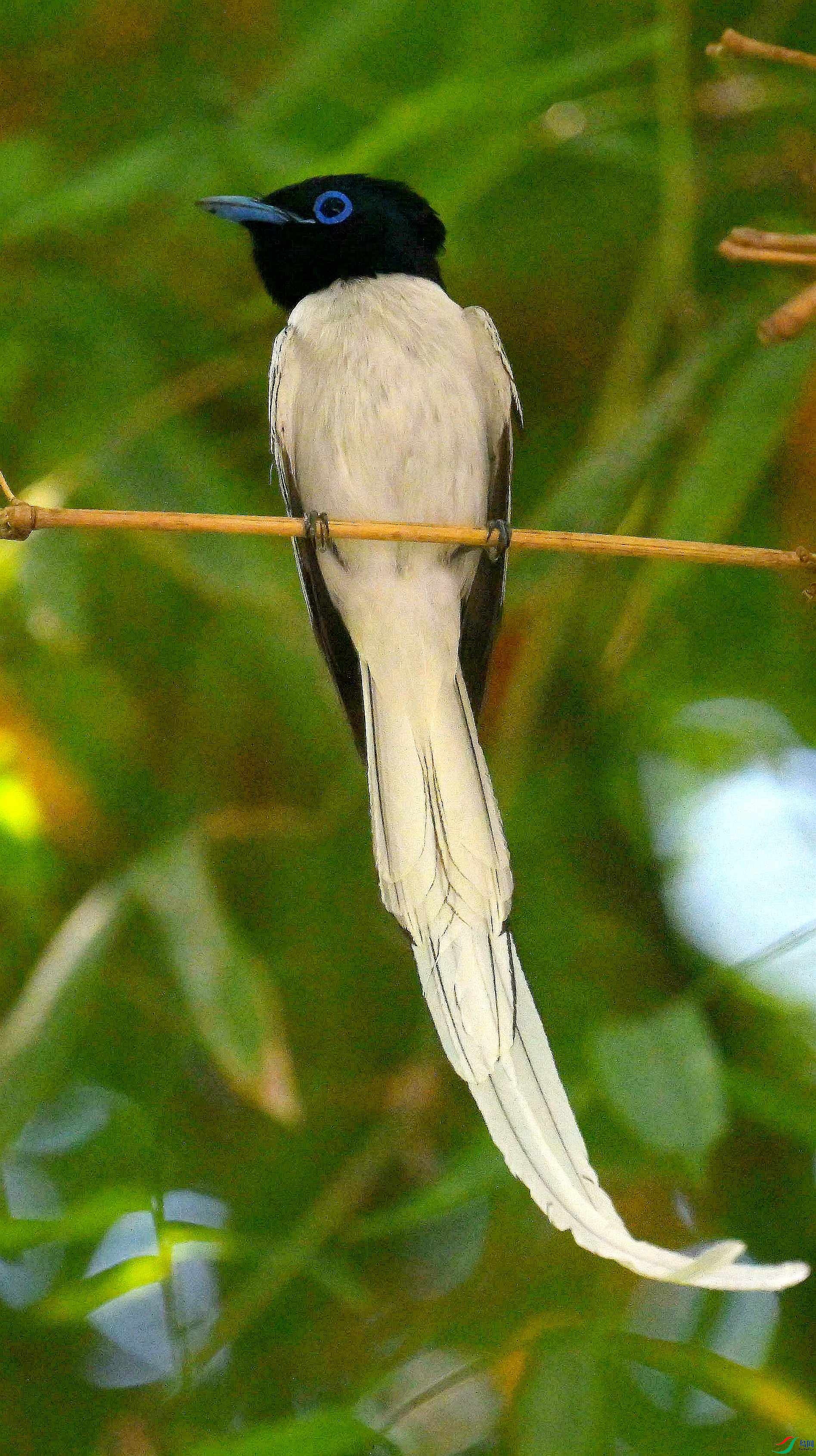 DSC_4956.jpg