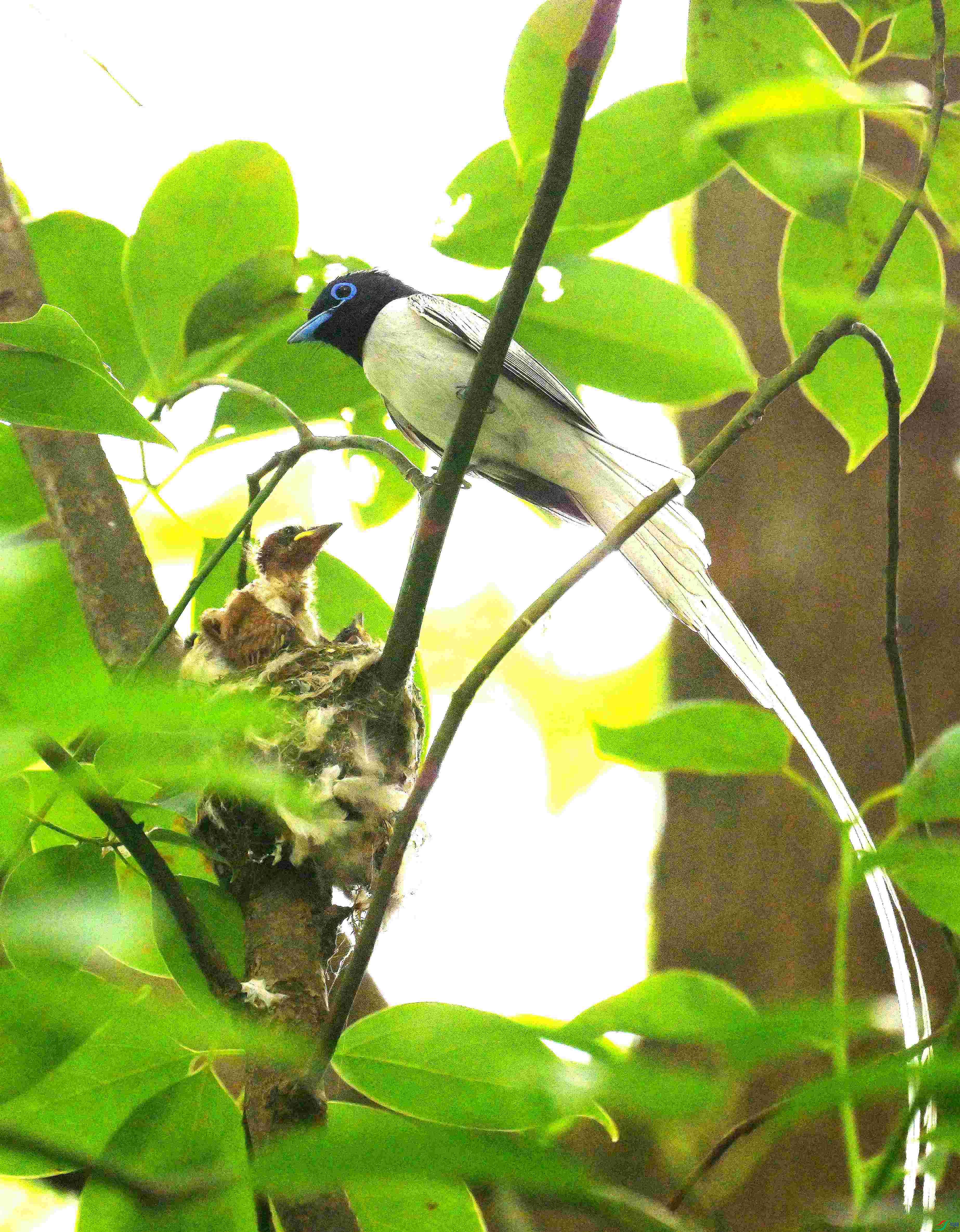 DSC_9007.jpg