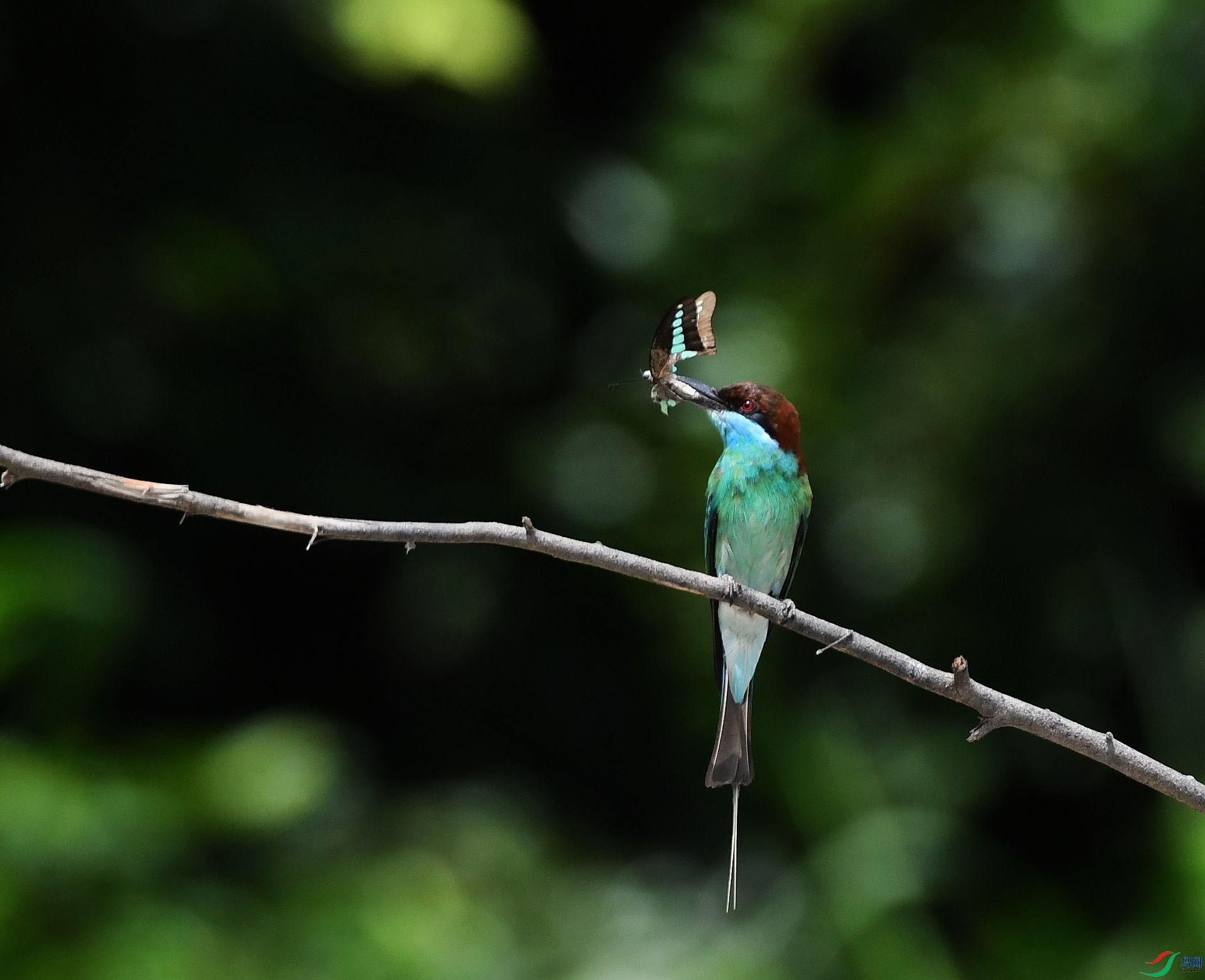 DSC_3184.jpg