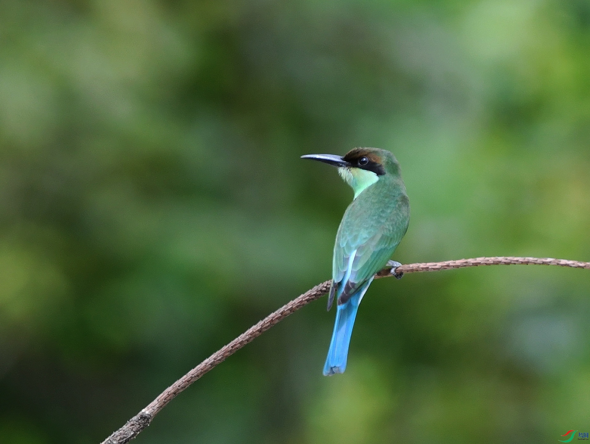 DSC_2724.jpg