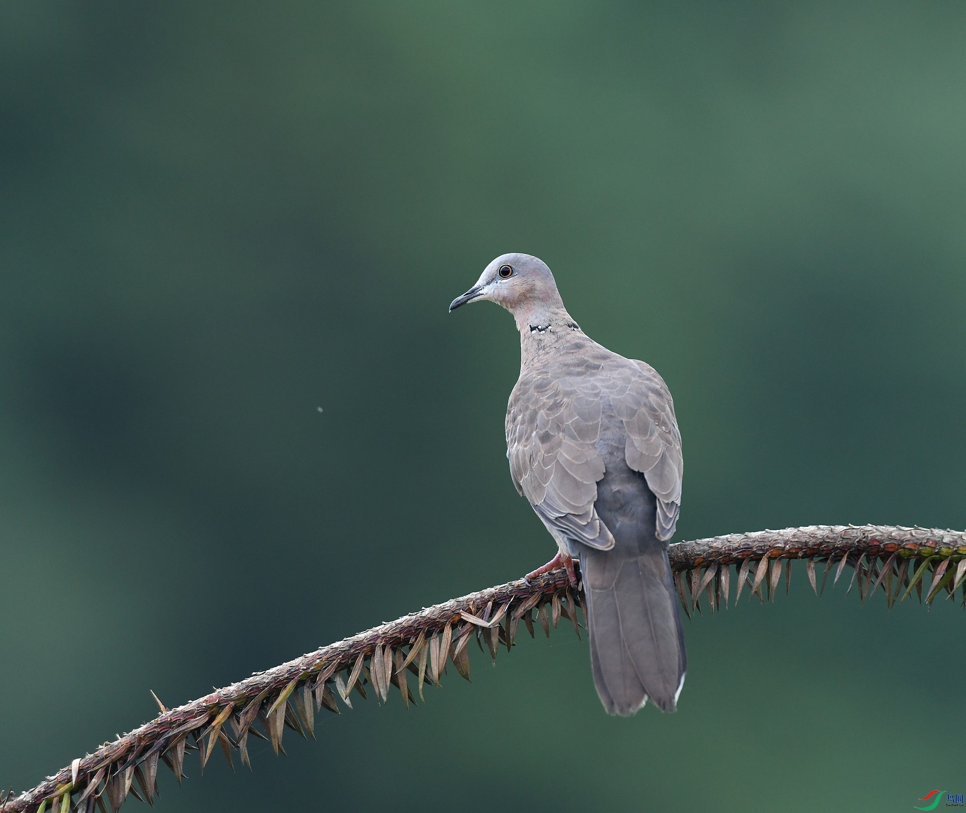 DSC_3614.jpg