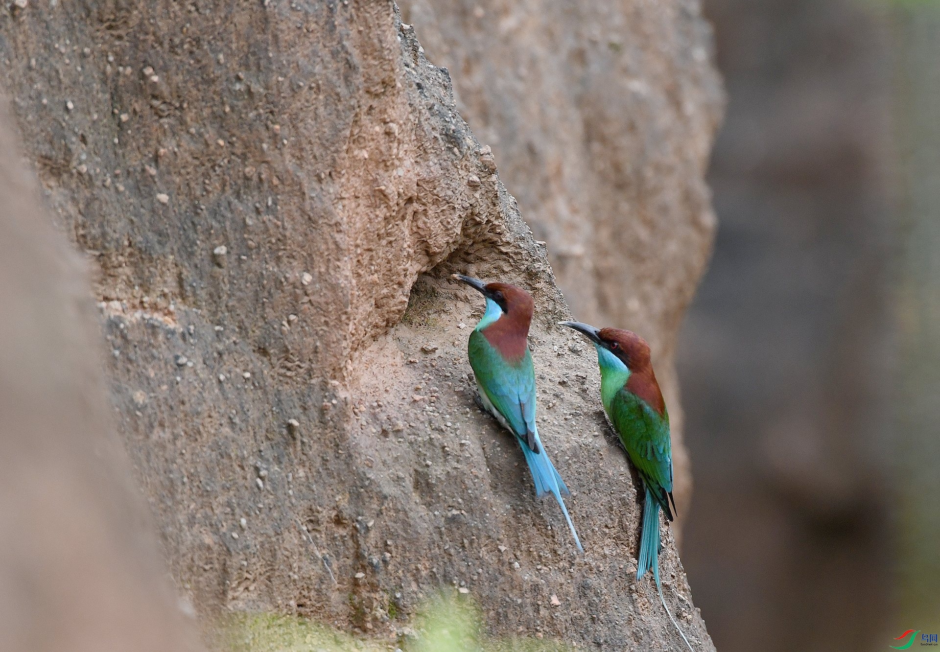 DSC_0417.jpg
