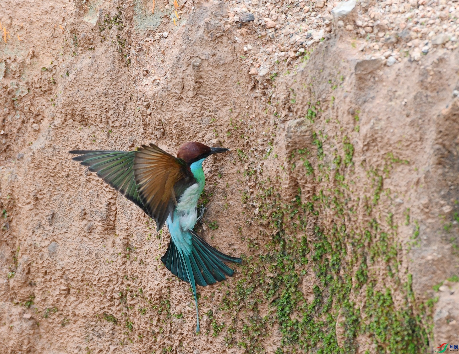 DSC_0297.jpg