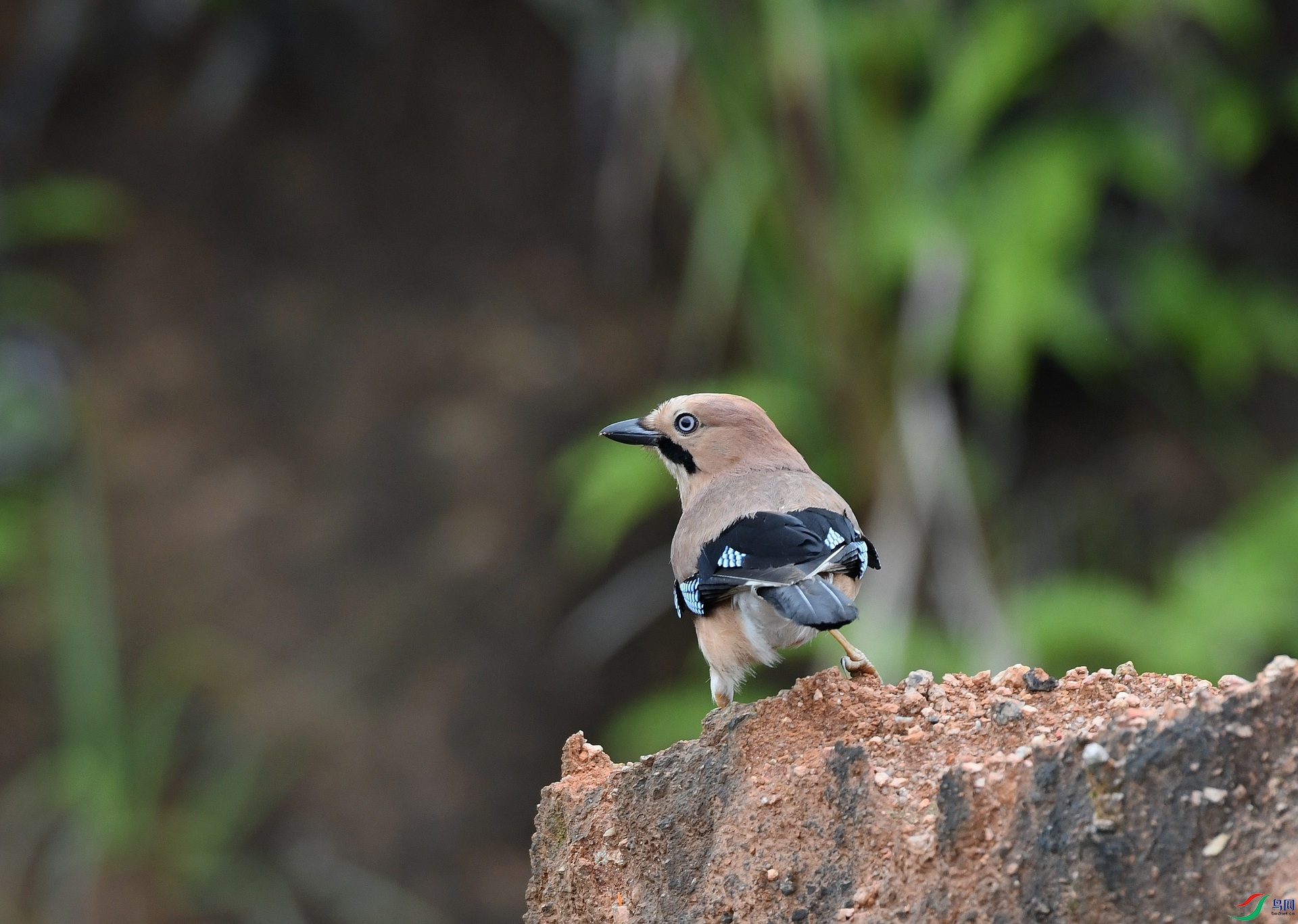 DSC_0217.jpg