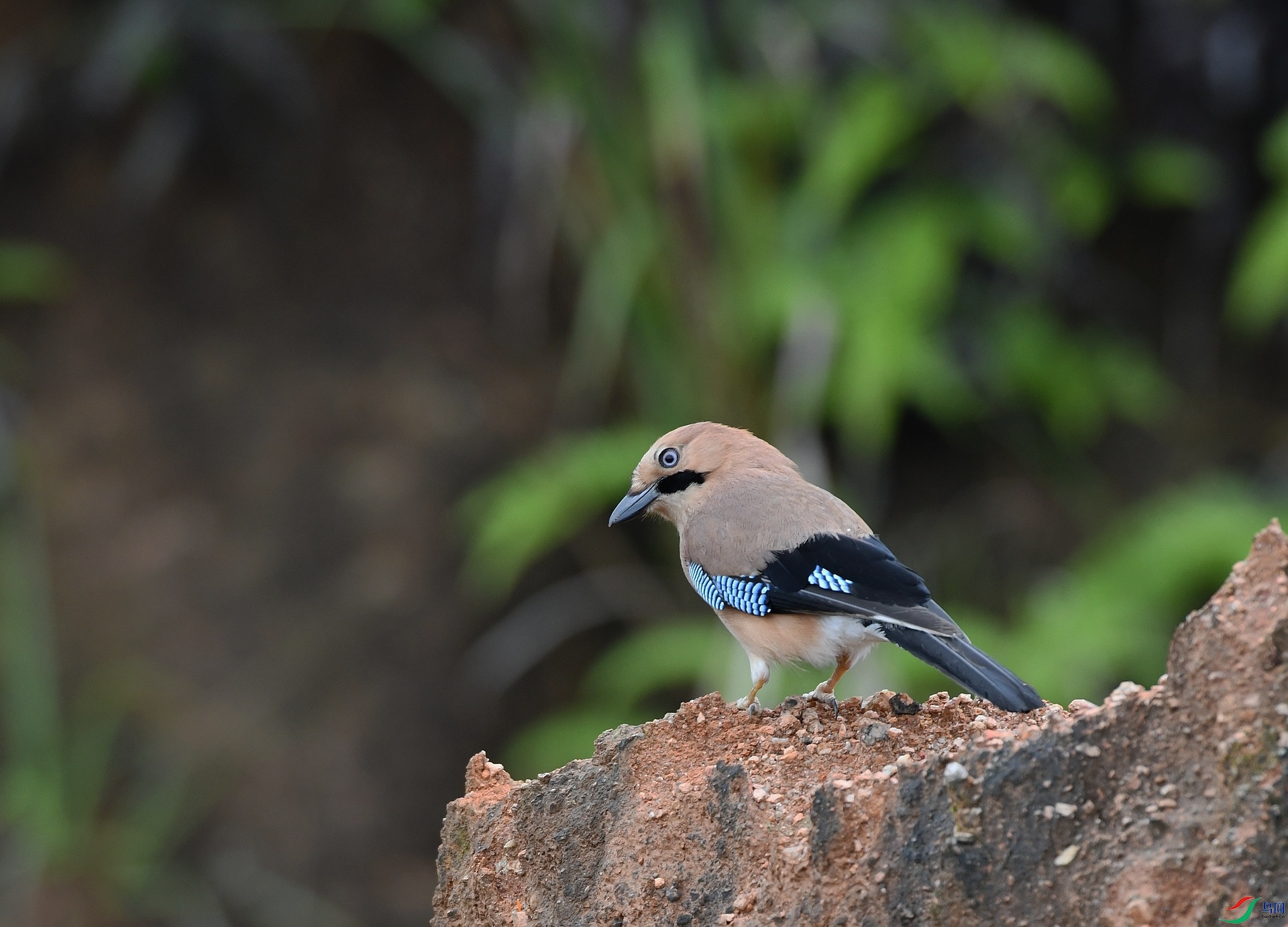 DSC_0213.jpg