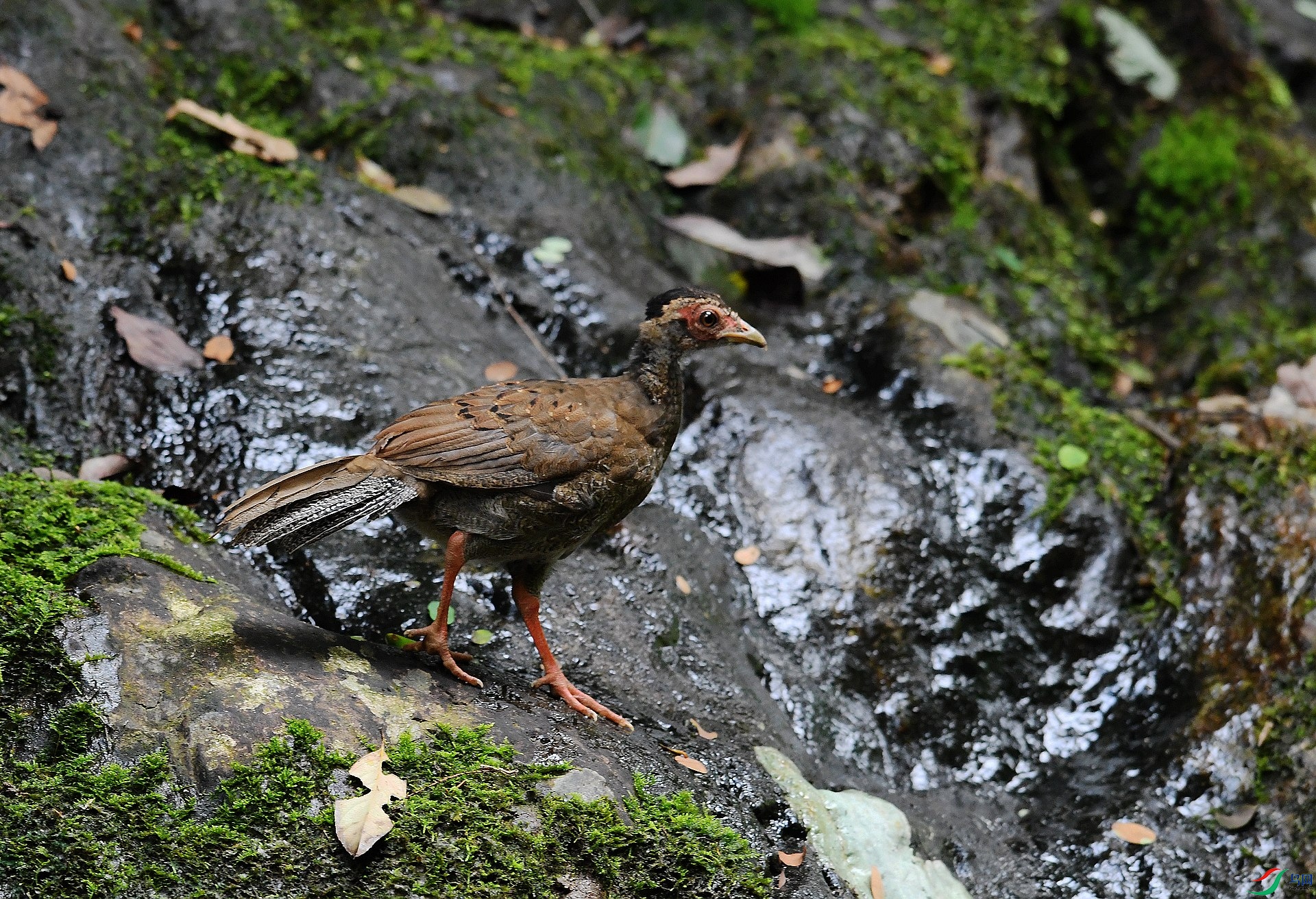 DSC_8101.jpg