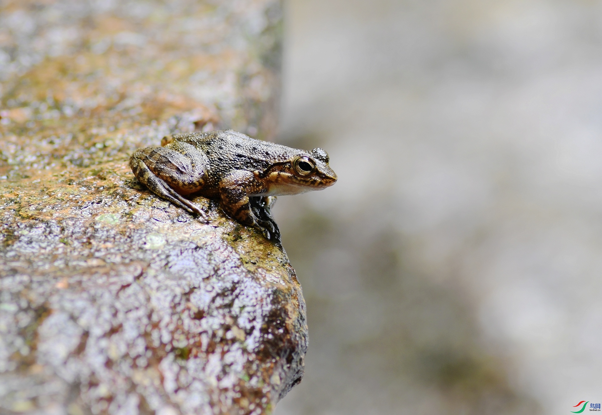 DSC_2316.jpg
