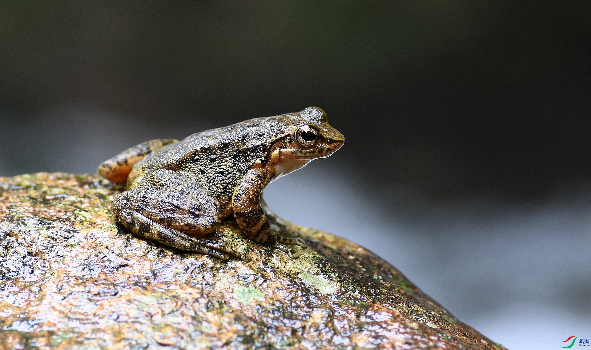 DSC_2356.jpg