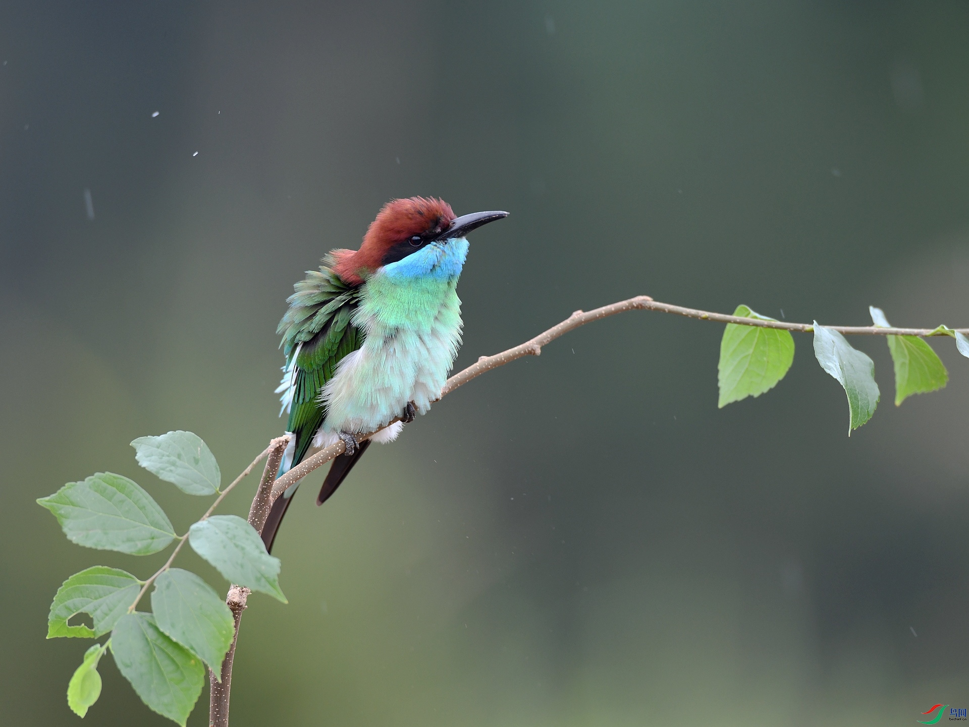 DSC_7761.jpg