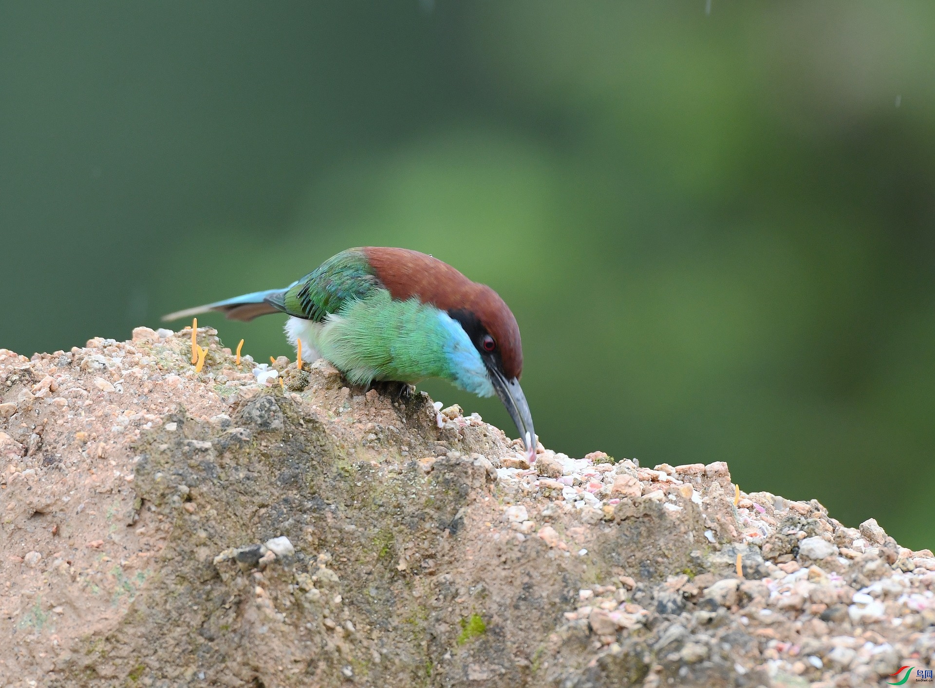DSC_7715.jpg