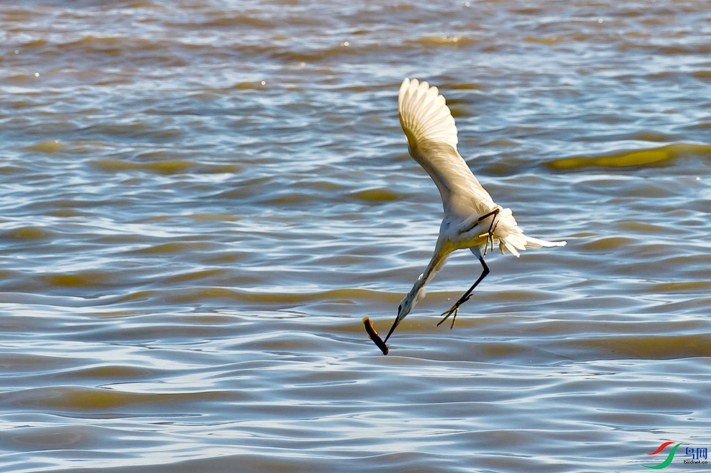 _DSC4736v.jpg