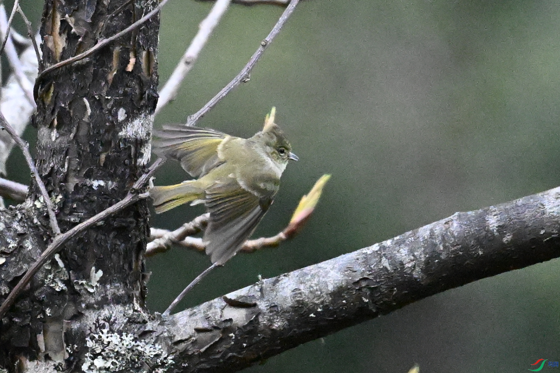 DSC_1812.JPG