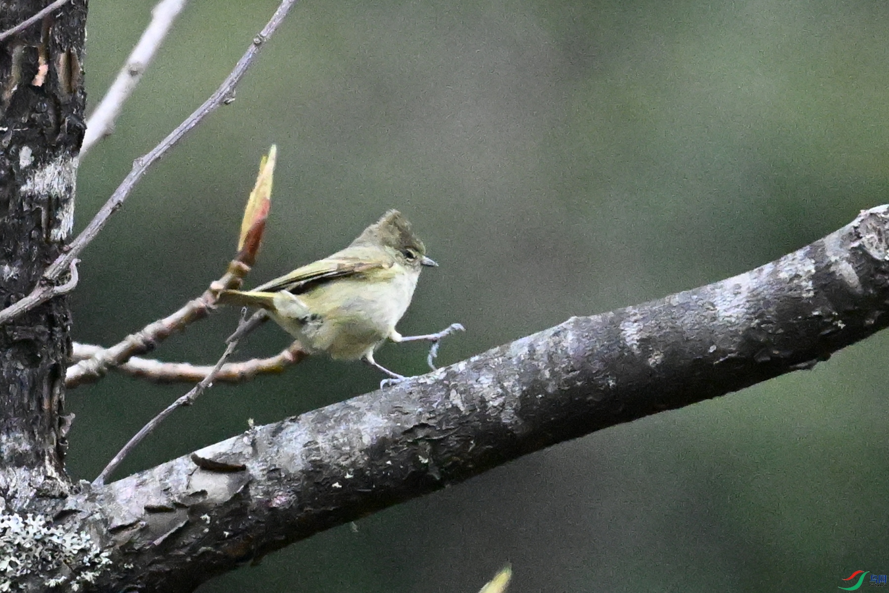 DSC_1813.JPG