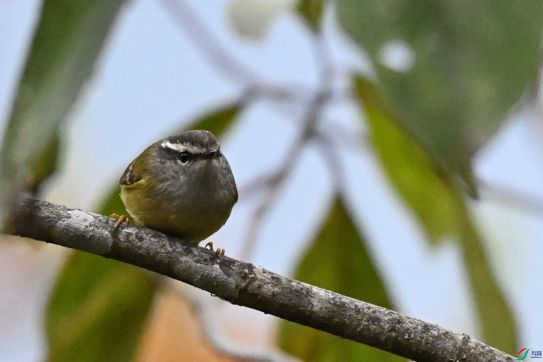 DSC_1816.JPG