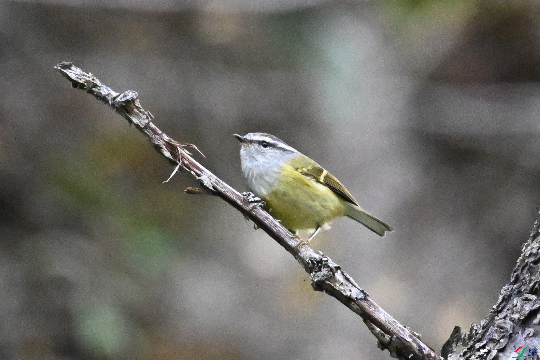 DSC_1856.JPG