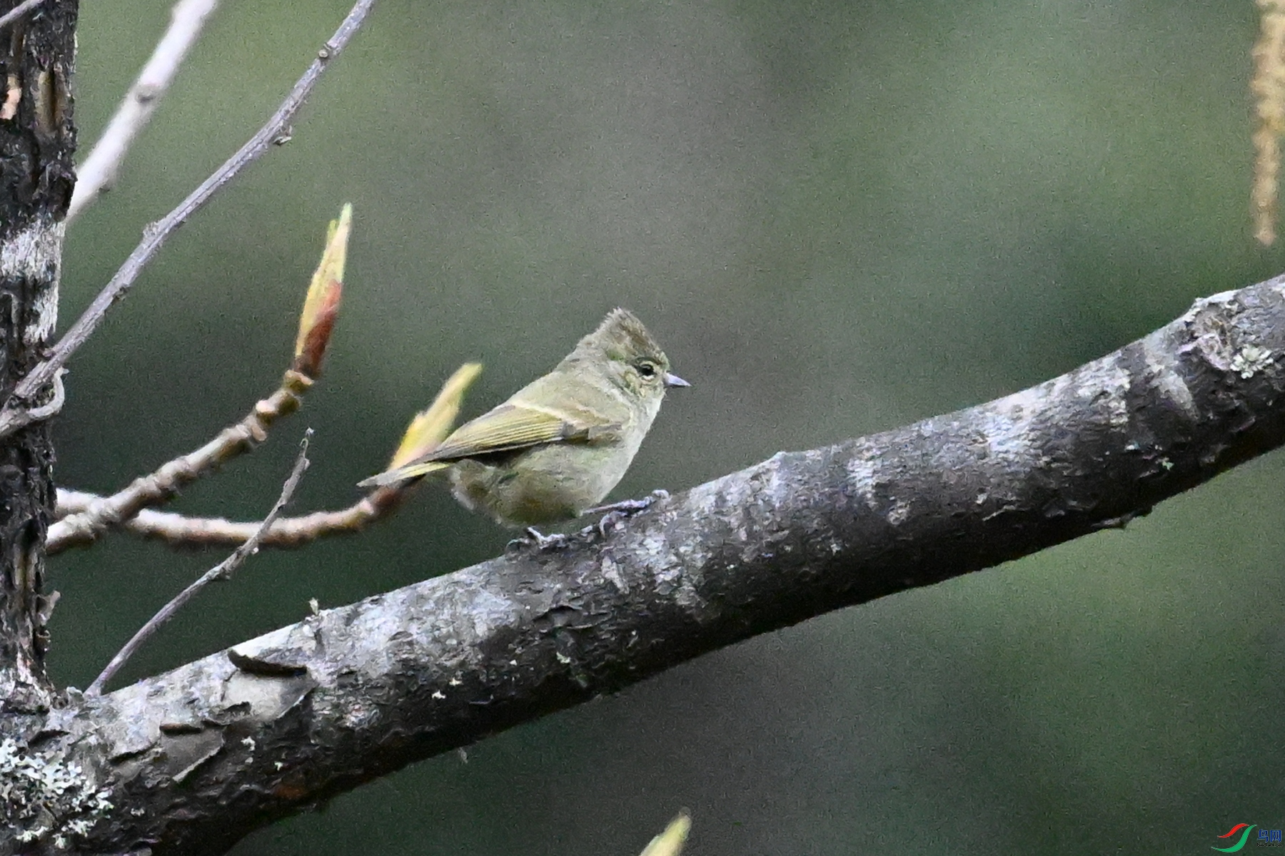 DSC_1814.JPG