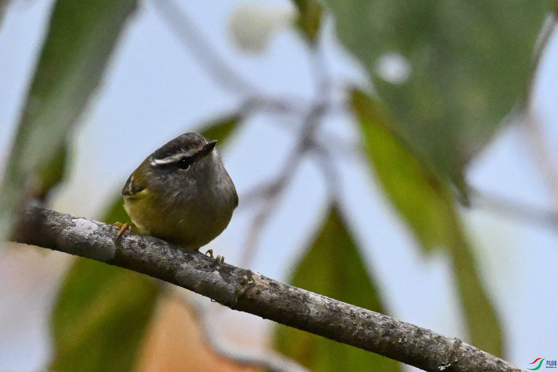 DSC_1817.JPG