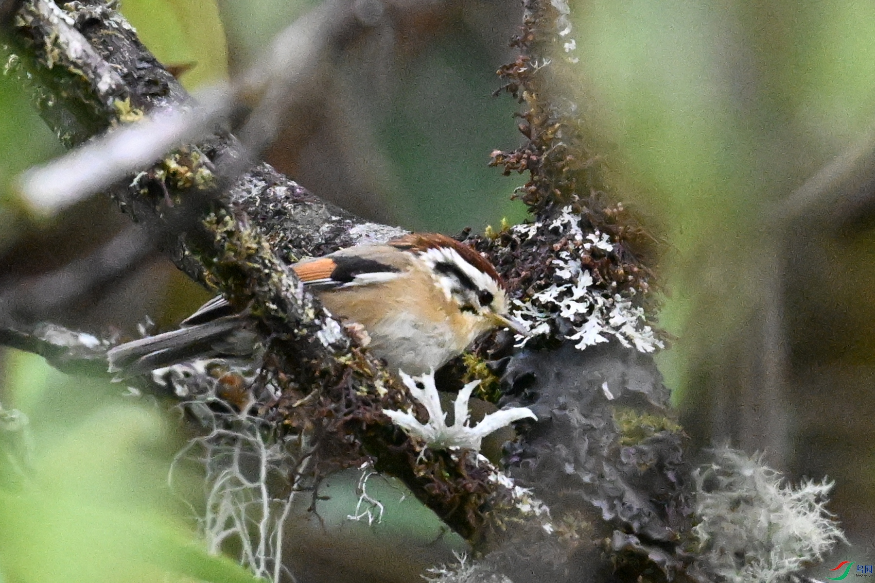 DSC_1881.JPG