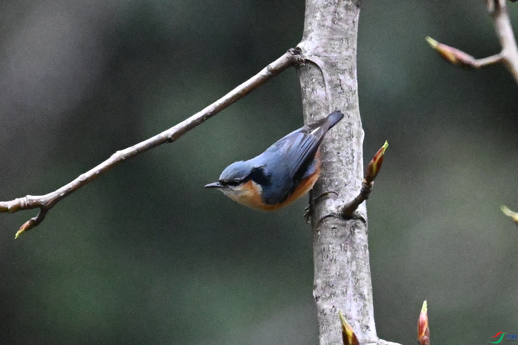 DSC_1843.JPG