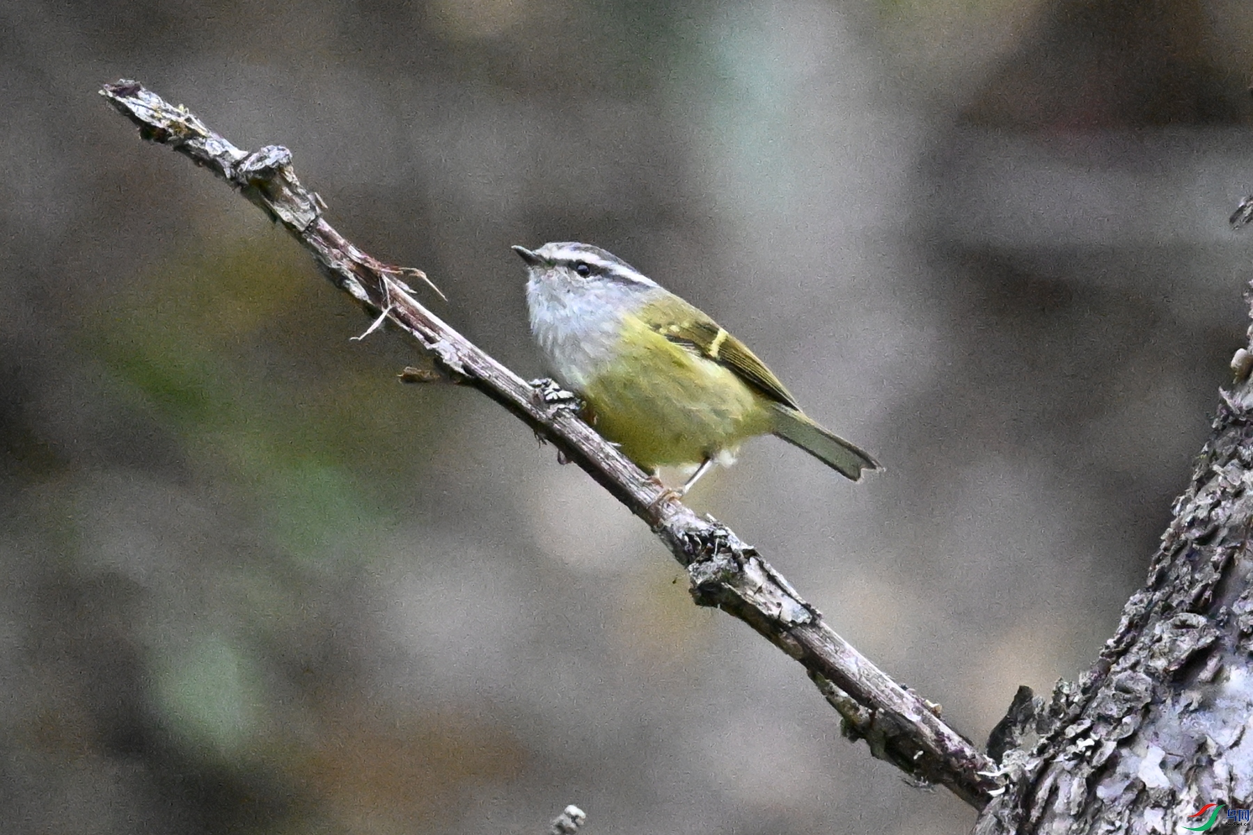 DSC_1857.JPG